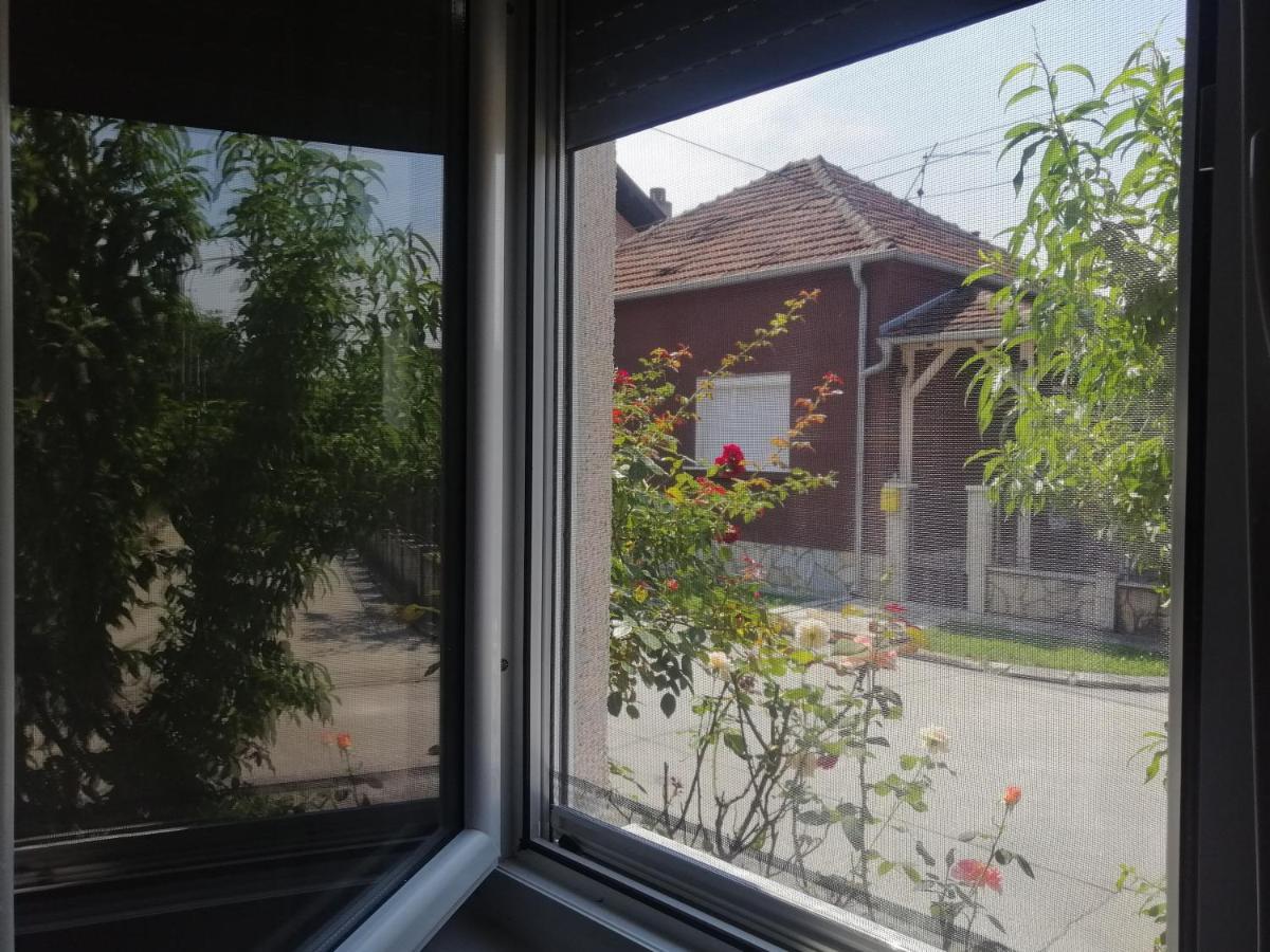 Apartman Nana Jagodina Eksteriør billede