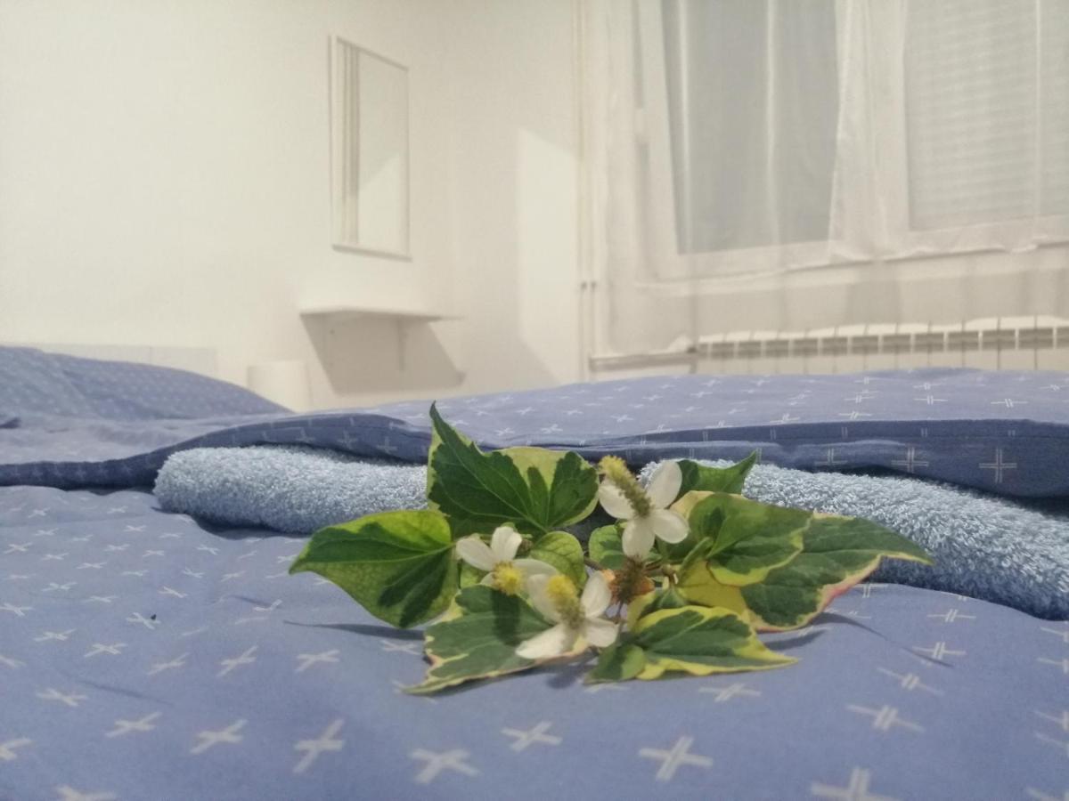 Apartman Nana Jagodina Eksteriør billede